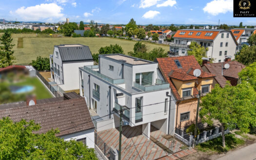 Modernes Einfamilienhaus mit Sommergarten, Dachterrassen, vielseitigem Wohnkeller und PKW-Stellplatz