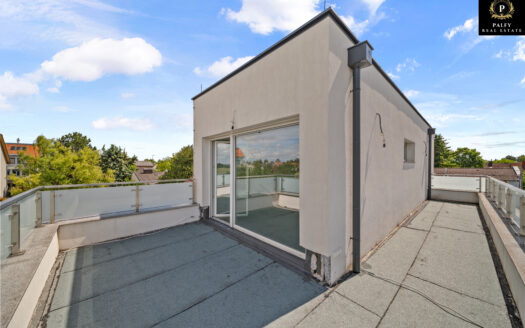 Modernes Einfamilienhaus mit Sommergarten, Dachterrassen, vielseitigem Wohnkeller und PKW-Stellplatz